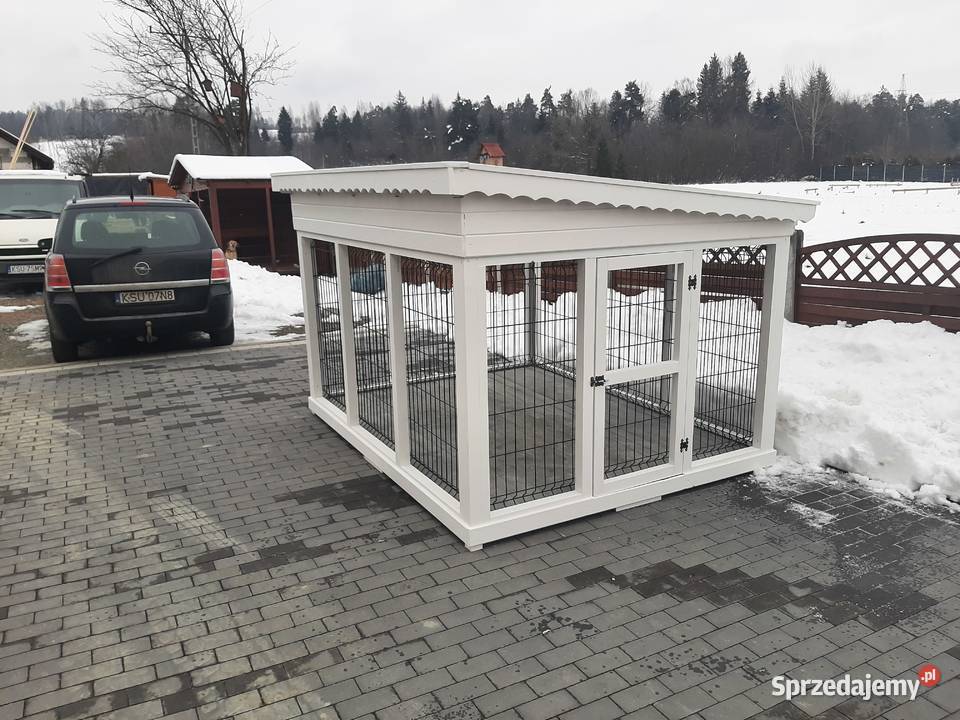 Kojec psa Jordanów