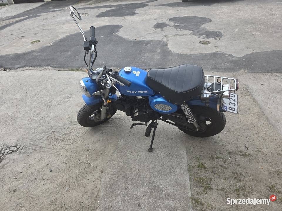 Motorynka Pony Mini Poznań