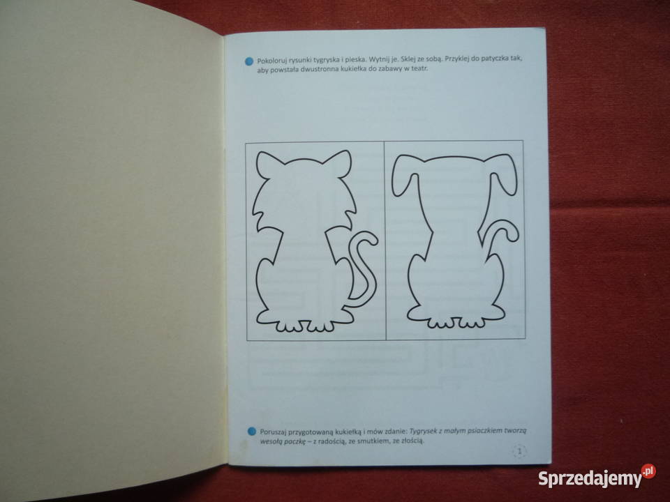 Odkrywam siebie Aktywność polonistyczna i Szczecin