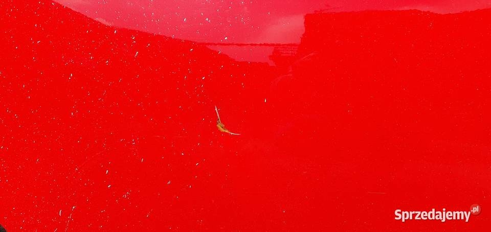 Drzwi tylne Suzuki Swift prawe lewe