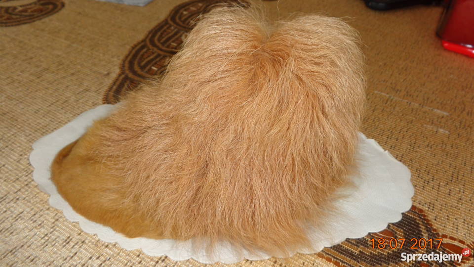 ozdobny lew na dekoracje Pozostałe Poznań sprzedam