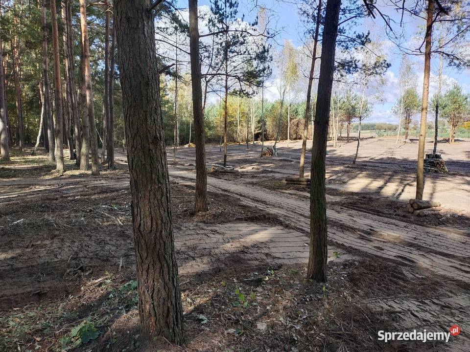 Działki budowlane 10 Płońska Kępa