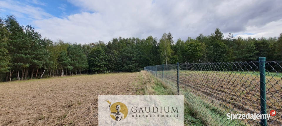 Koteże działka tuż lesie sprzedam