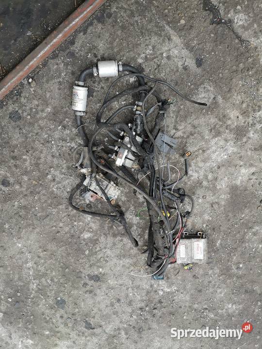 Instalacja gazowa stag 4 Czerwionka-Leszczyny