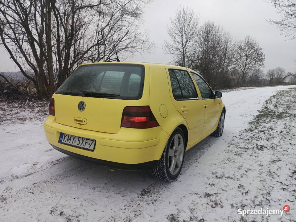 Volkswagen Golf 4 IV 19tdi 130170 4 motion 4x4 nieuszkodzony
