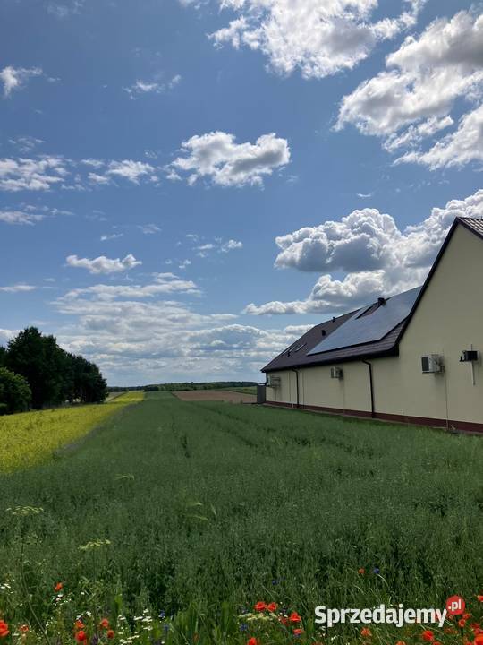 Na sprzedaż działka 110 ha Gmina Lgota Wielka Sprzedaż