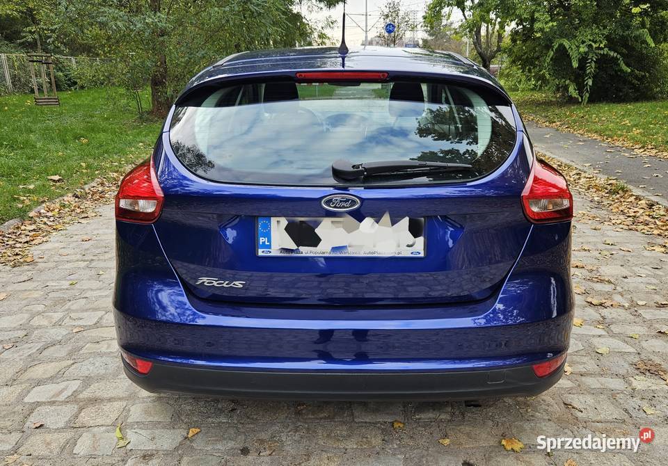 Ford Focus 2016r 16 benzyna 125 salonowy Rok produkcji 2016 Focus