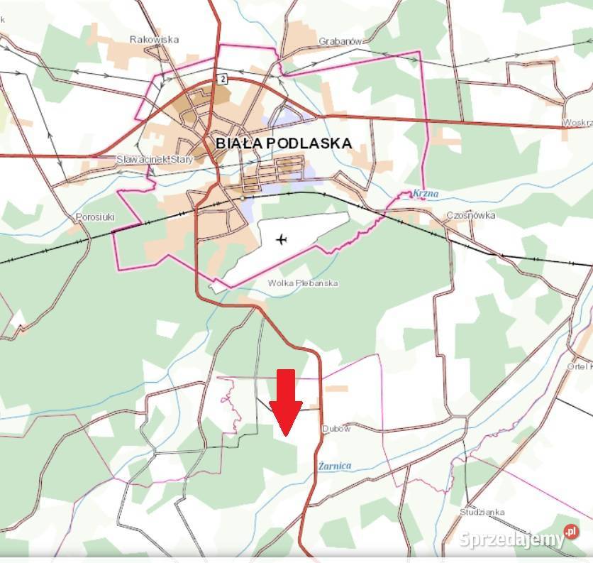 Las Dubów działka Łomazy Biała Podlaska