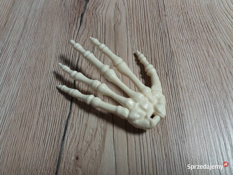 Tajemnice ludzkiego ciała kolekcja DeAgostini Cieszyn