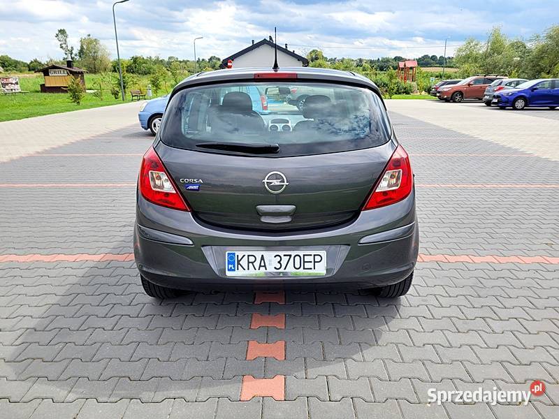 Godny polecenia benzyniaczek Słomniki