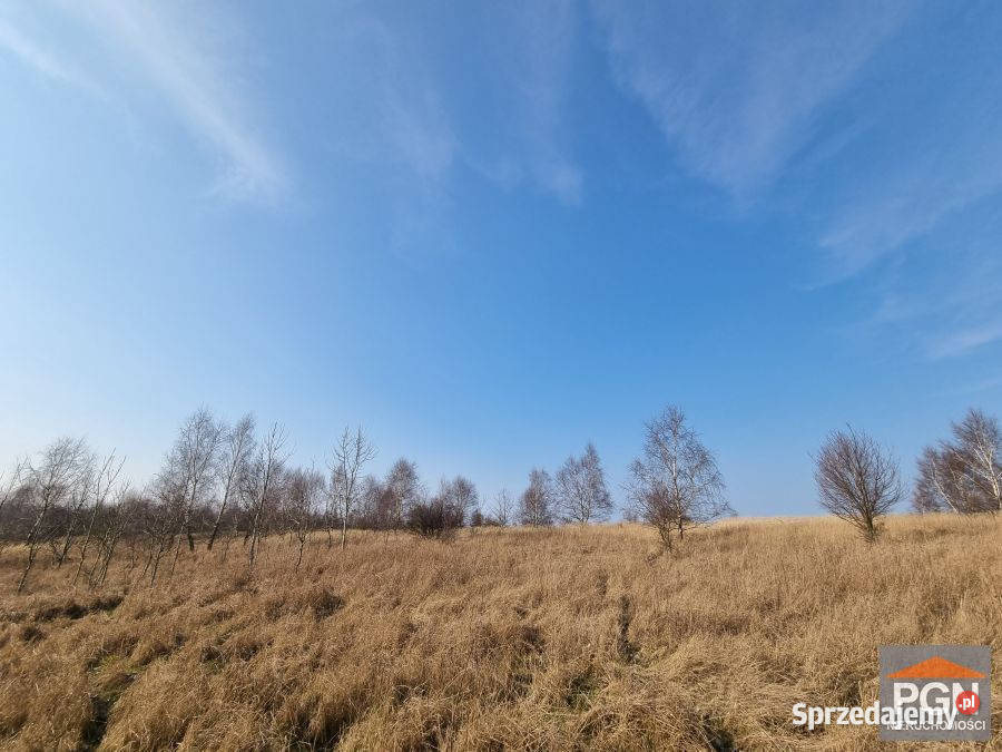 Sprzedam grunt Buniewice 1000m2 Sprzedaż