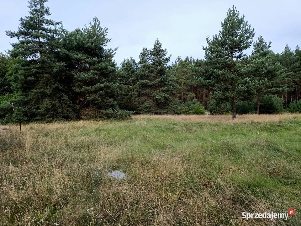 Działka Świbinki rolna z warunkami zabudowy 1436m2 Sprzedaż