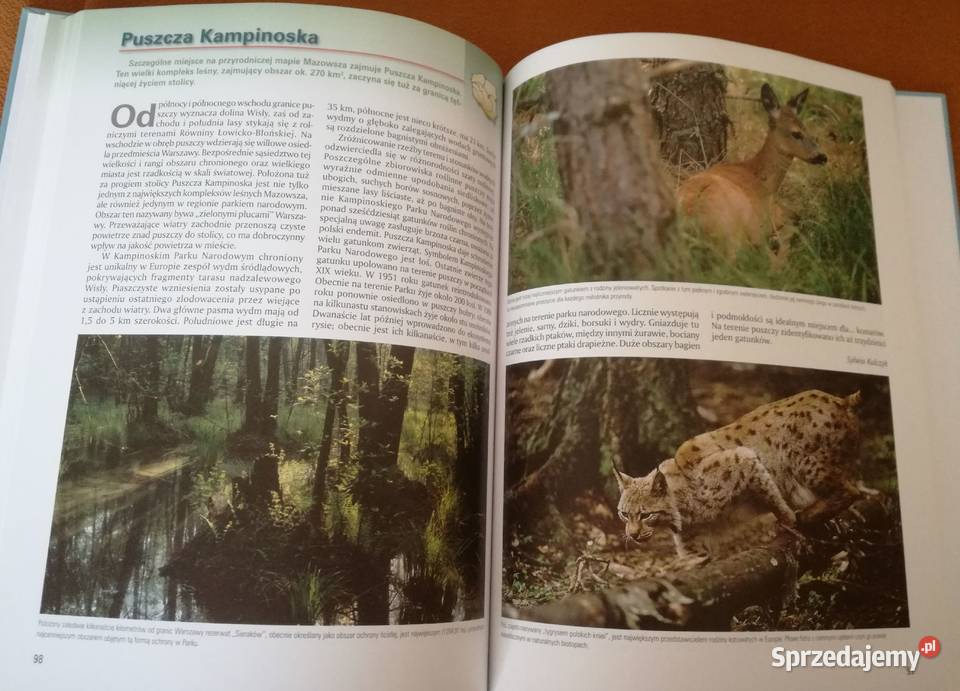 Skarby Natury w Polsce AJaguś SKulczyk ZMarcinów Łódź