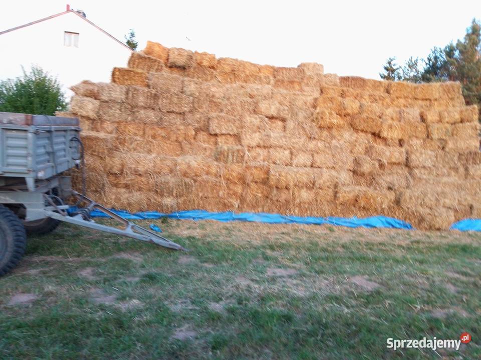 SłomaCiuki kostka duża ilość 3000 Bodzentyn