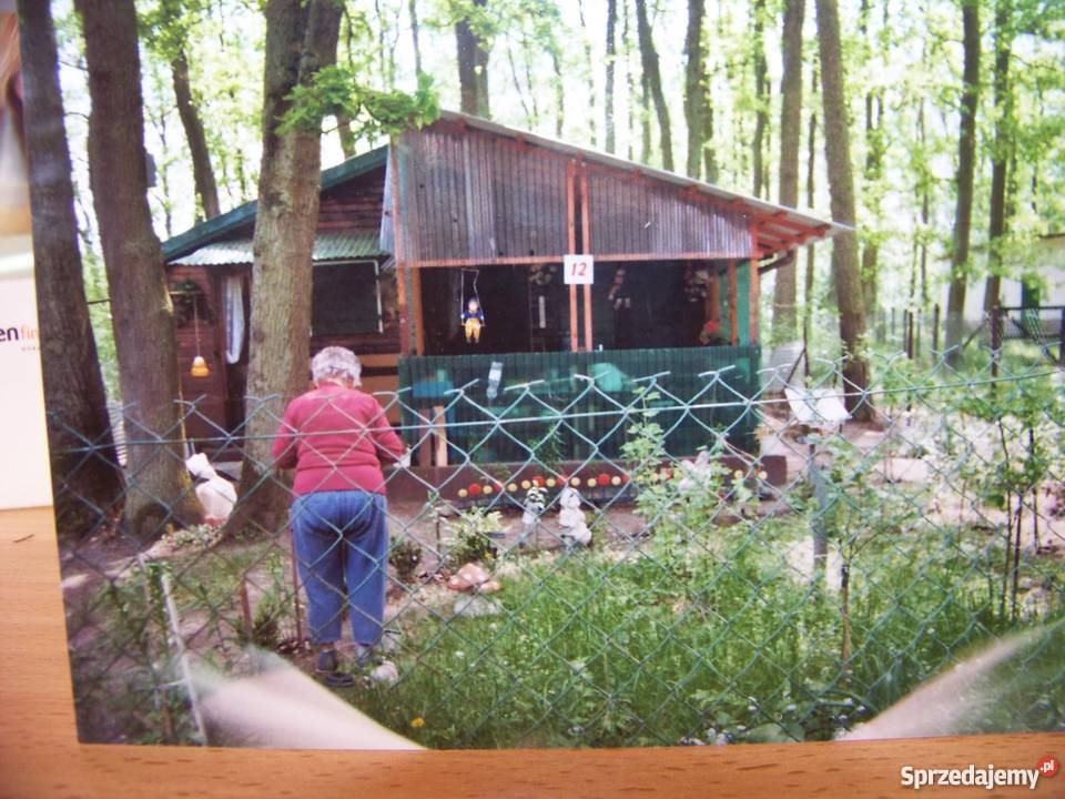 domek letniskowy Szczutkowo sprzedam