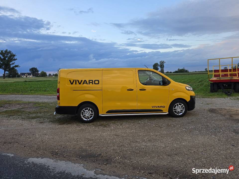 Opol Vivaro Long sprowadzony Łowicz