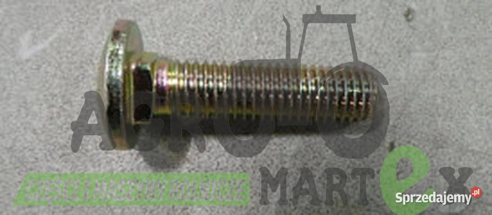43473 ŚRUBA POSADZANA CNH Części zamienne Wichrów