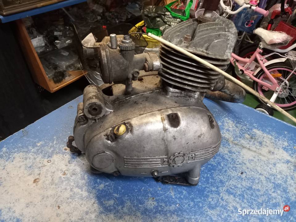 Silnik komar jajko s38