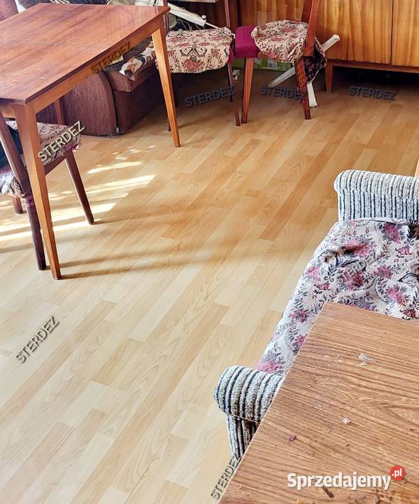 Sprzątanie i dezynfekcja zgonie Kraków