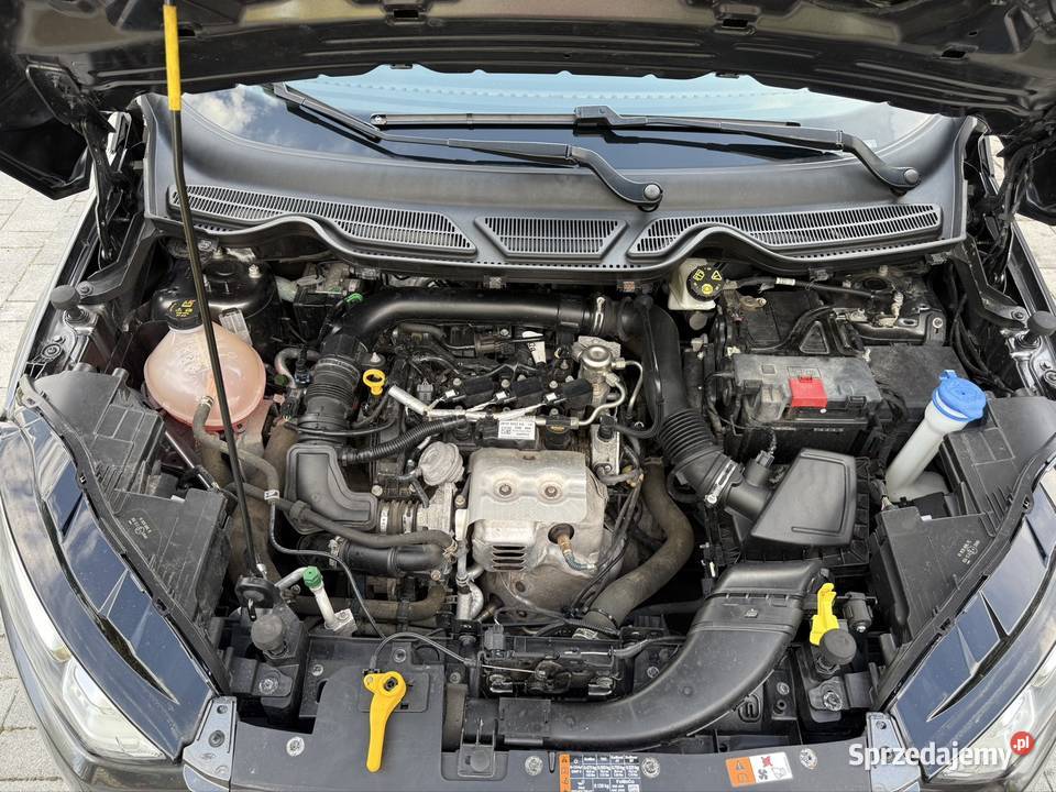 Ford ecoSport bezwypadkowy serwisowany w ASO klimatyzacja EcoSport Brzeg