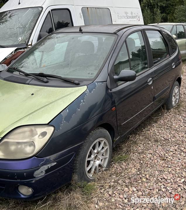 Renault Scenic Wrząsowice