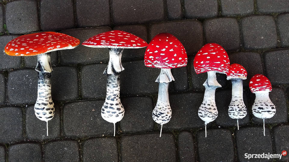 Grzyby styropianowe Górki Wielkie