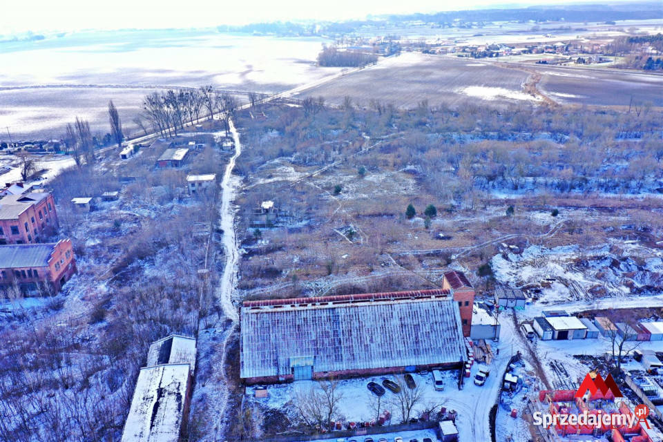 Lokal 1173m2 ChełmicaCukrownia
