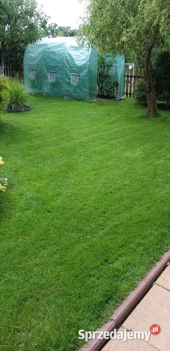 Działka ROD Tamel ogródek działkowy Tarnów