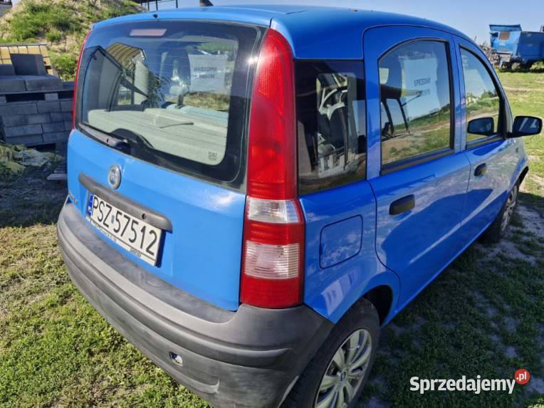 Fiat Panda Dakowy Suche sprzedam