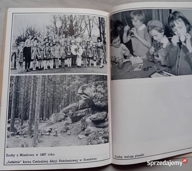 Leon Dmytrowski Trzy młodości ruchu zuchowego Koźminek