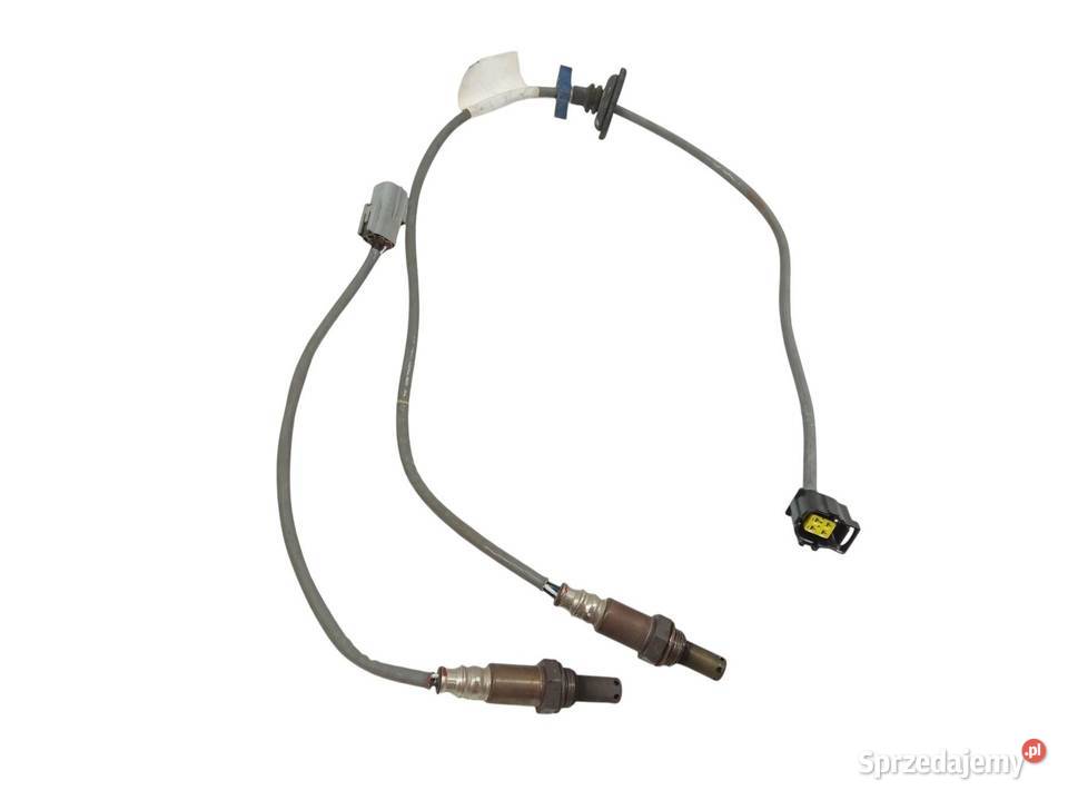 SONDA LAMBDA 1491006832 1491006820 16 B 116