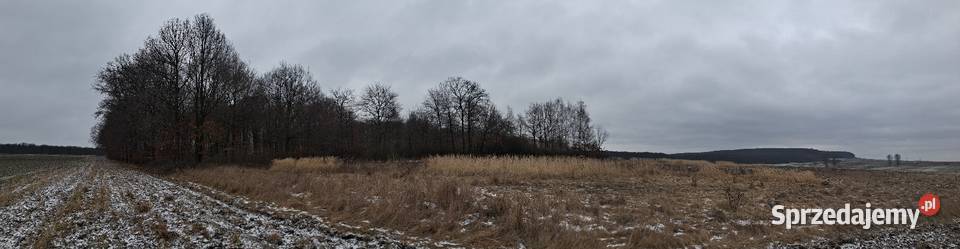 Działka leśna rolna 2912m2 Kępie