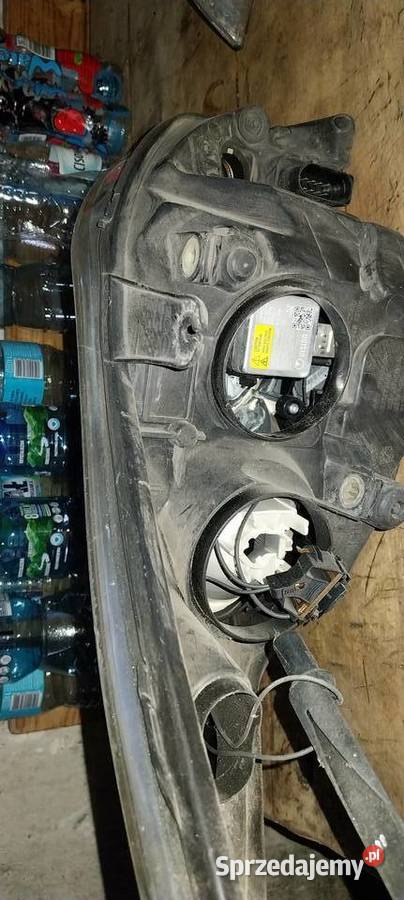 Lampy Xenon ford focus lift Lubraniec sprzedam
