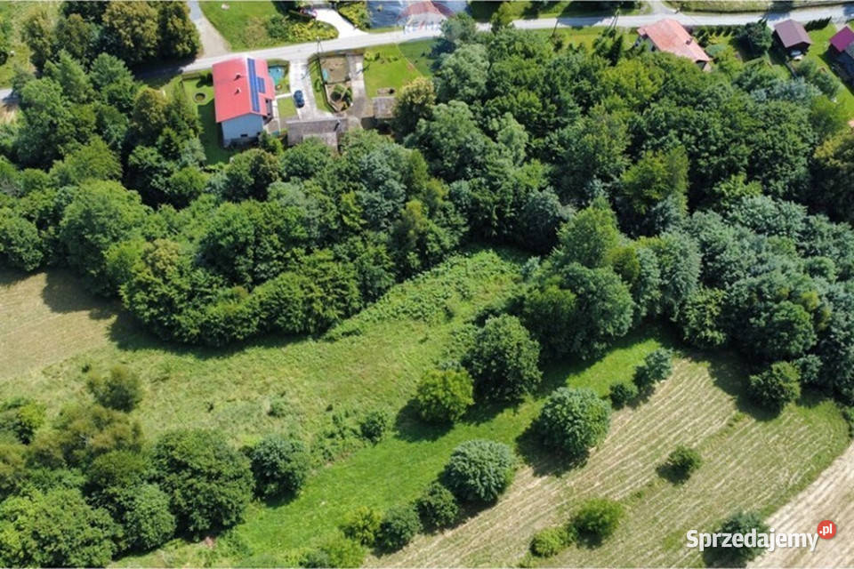 Działki rolne w Gilowicach Gilowice