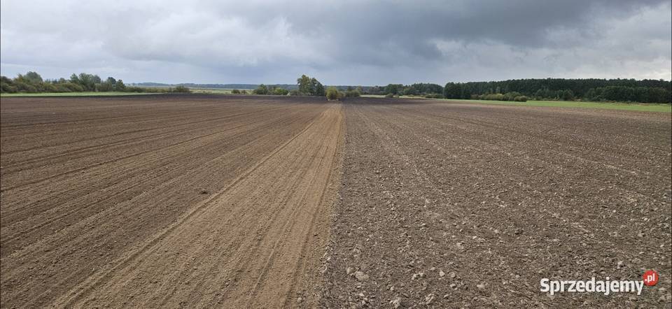 Agregat Kongskilde Vibro Compact 3m wał Pack sprzedam