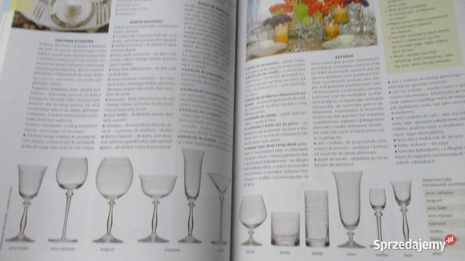 Wielki poradnik rodzinny dom hobby zdrowie Łódź