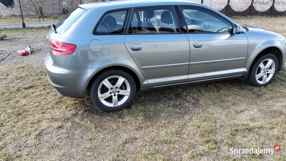 Audi A3 MPI 102 lubelskie Tarło-Kolonia