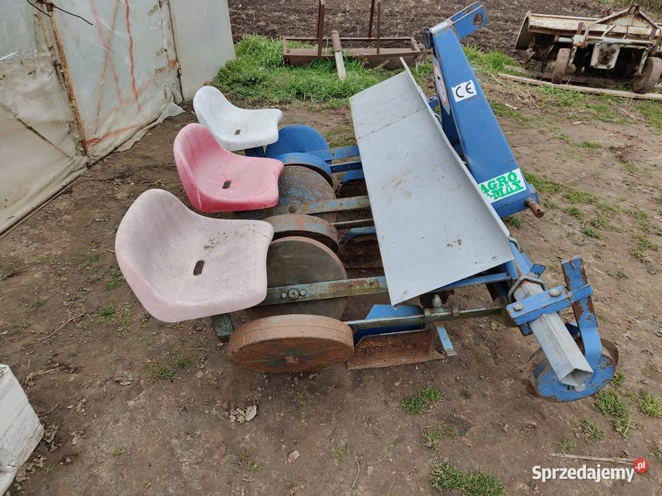 Sadzarka Siewniki i sadzarki Urzejowice