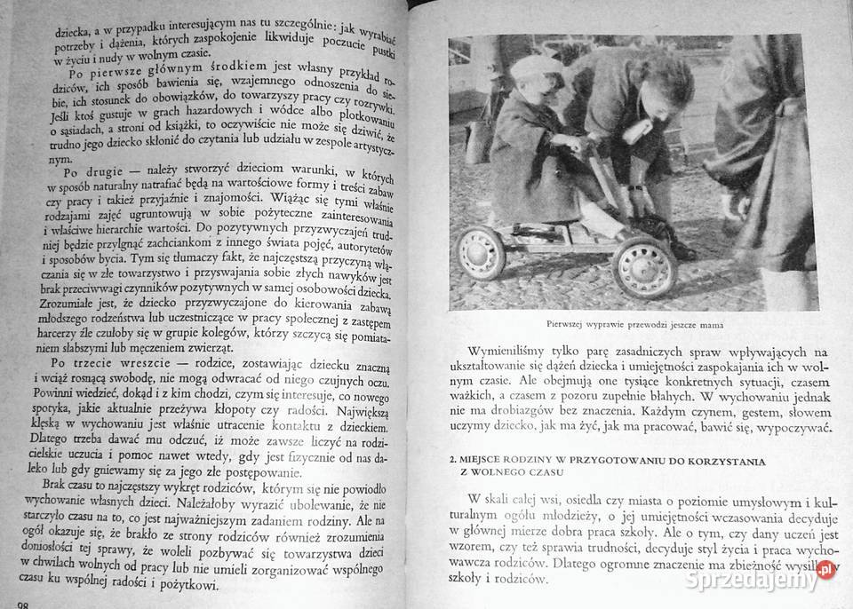 Czas wolny dzieci i młodzieży Zygmunt Dąbrowski sprzedam