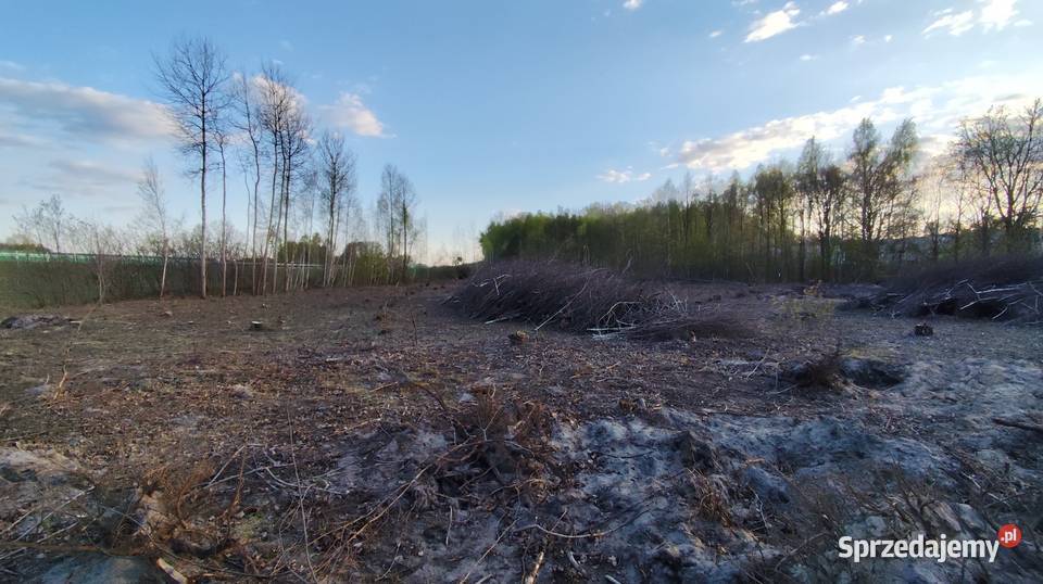Drewno gałęzie na opał Łódź