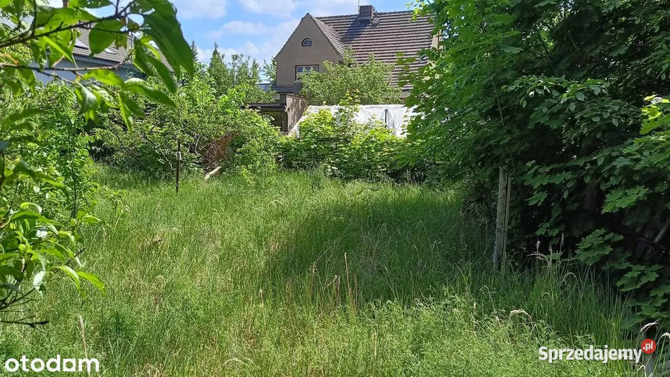 Sprzedam Dom z 2 Mieszkaniami i 2 Garażami Zielona Góra