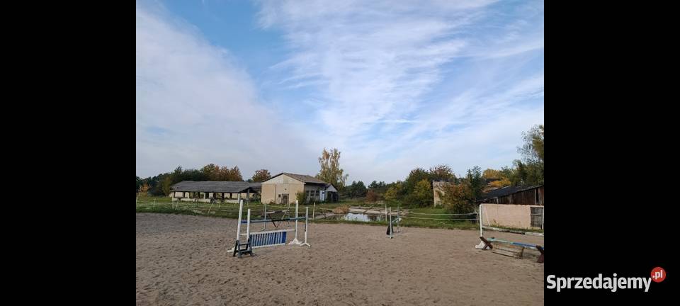 Stajnia mieszkanie gospodarstwo rolne 2ha woj Prudnik