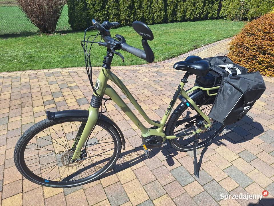 Rower damski Giant Wyry