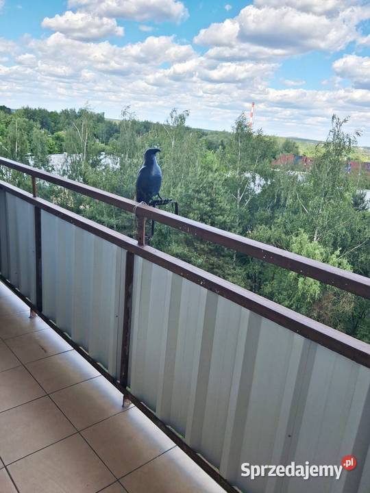 REZERWACJA oferty Obniżka ceny M4 Żory