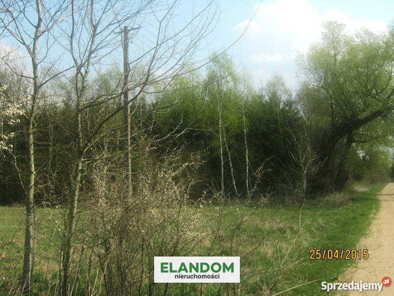 Sprzedam działkę rolną 24600m2 Władzin gaz Nieruchomości