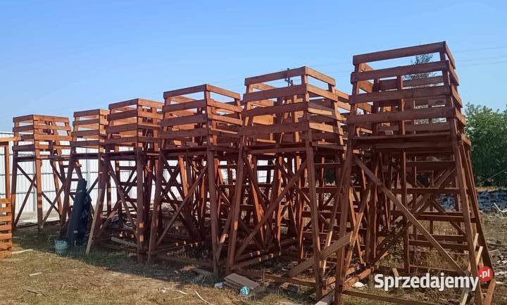 Zwyszka Ambona Pułtusk