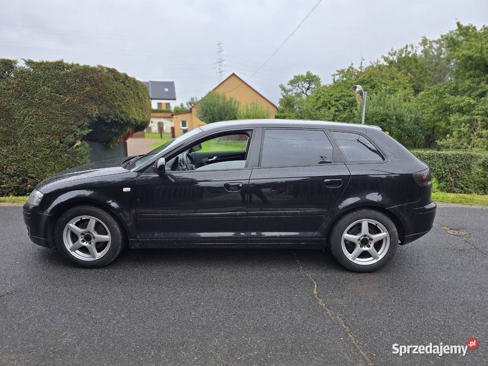 Audi A3 2007r 16 Mpi 216 Alu 16 Niemcy 5D ABS dolnośląskie Polkowice sprzedam