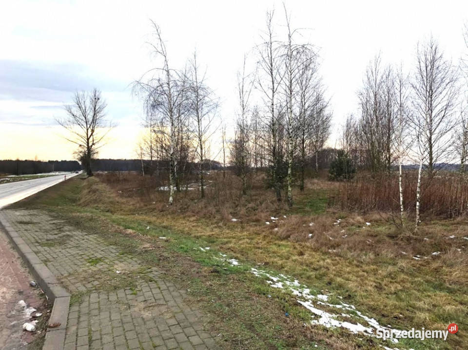 Na sprzedaż działka rolna 70 Warszawy mazowieckie Boguszków sprzedam
