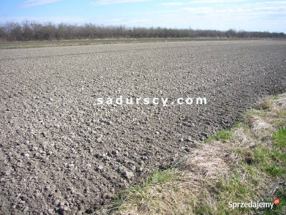 Działka Nowa Wola 4400m2 utwardzona sprzedam