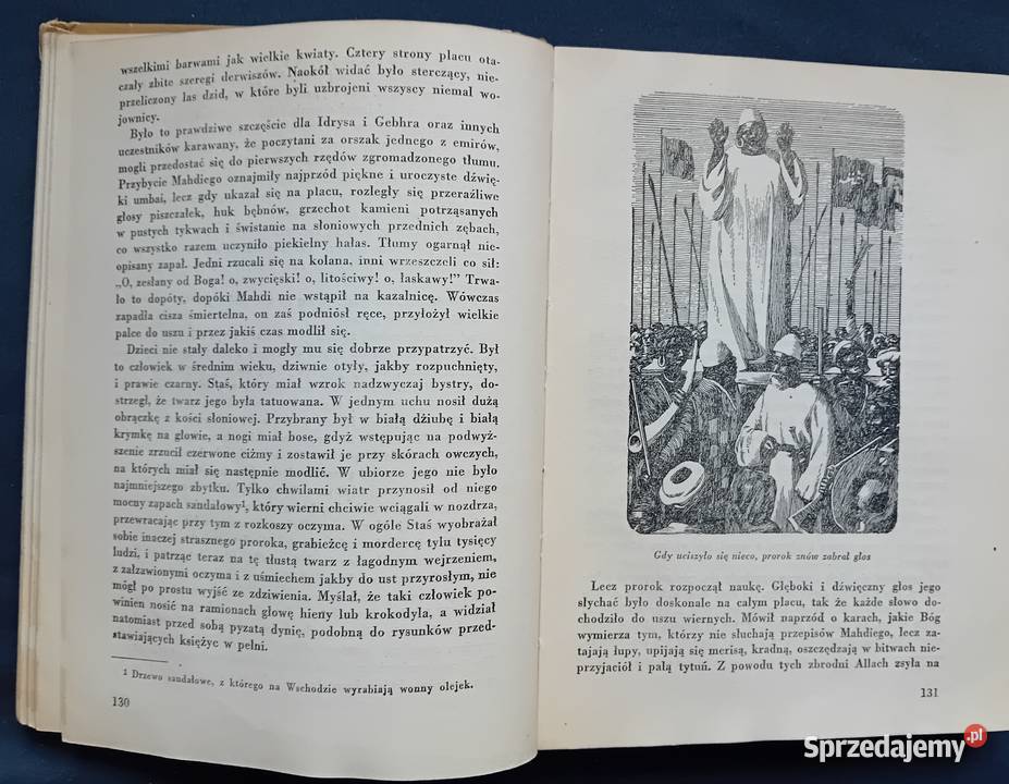 Henryk Sienkiewicz W pustyni i w puszczy PIW wielkopolskie Koźminek sprzedam